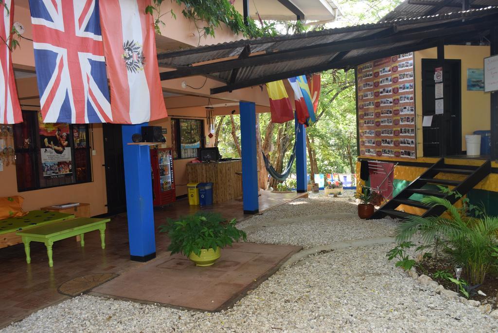 Casa Pura Vida Surf Hostel - Tamarindo Costa Rica Ngoại thất bức ảnh